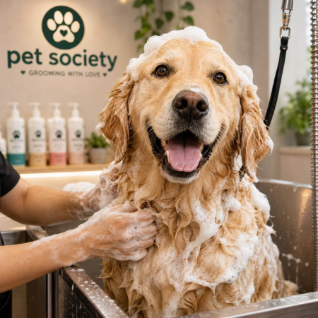 Therapeutic Bath & Blow Dry